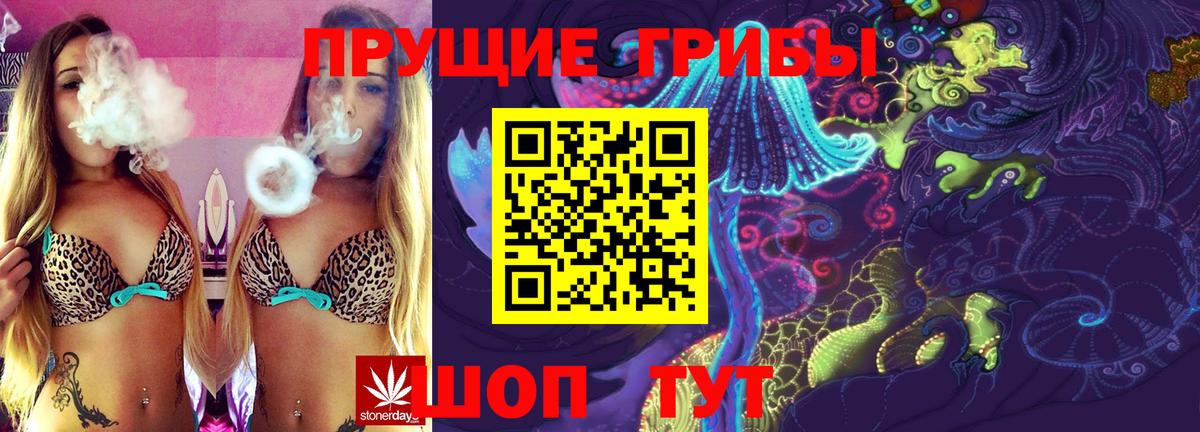 Гатчина  Псилоцибиновые грибы Cubensis  как найти   Вход с VPN 